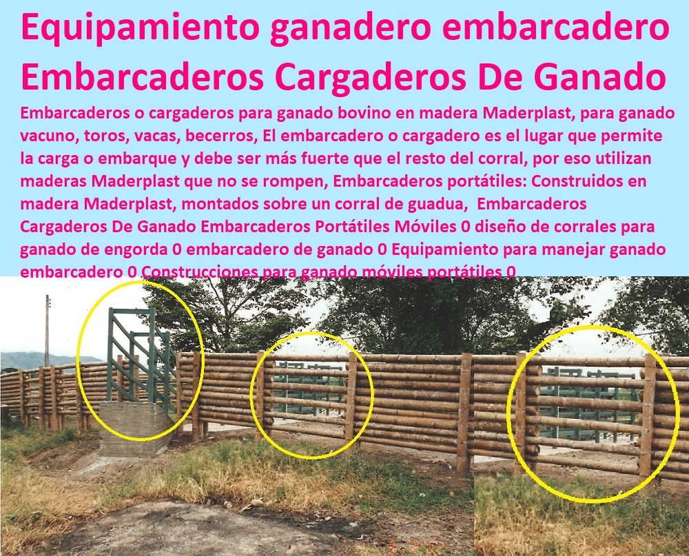 Embarcaderos Cargaderos De Ganado Embarcaderos Portátiles Móviles 0 diseño de corrales para ganado de engorda 0 embarcadero de ganado 0 Equipamiento para manejar ganado embarcadero 0 Construcciones para ganado móviles portátiles 0 Embarcaderos Cargaderos De Ganado Embarcaderos Portátiles Móviles 0 Corral Caballerizas, Pesebreras De Caballos, Plaza Toros, Brete Ganadero, Apretaderos Embarcaderos, Postes Tablas, Polines Varetas, Mangas De Coleo, Horcones Madera Plástica, Corrales, Establos De Ganado, Mangas De Coleo, diseño de corrales para ganado de engorda 0 embarcadero de ganado 0 Equipamiento para manejar ganado embarcadero 0 Construcciones para ganado móviles portátiles 0